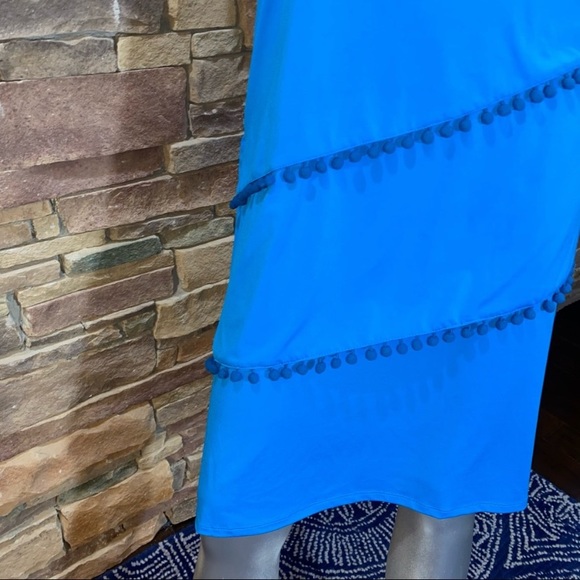 Sunny Leigh Pom Pom Dress - Picture 5 of 9